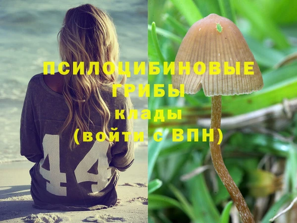 соль ск Алексеевка